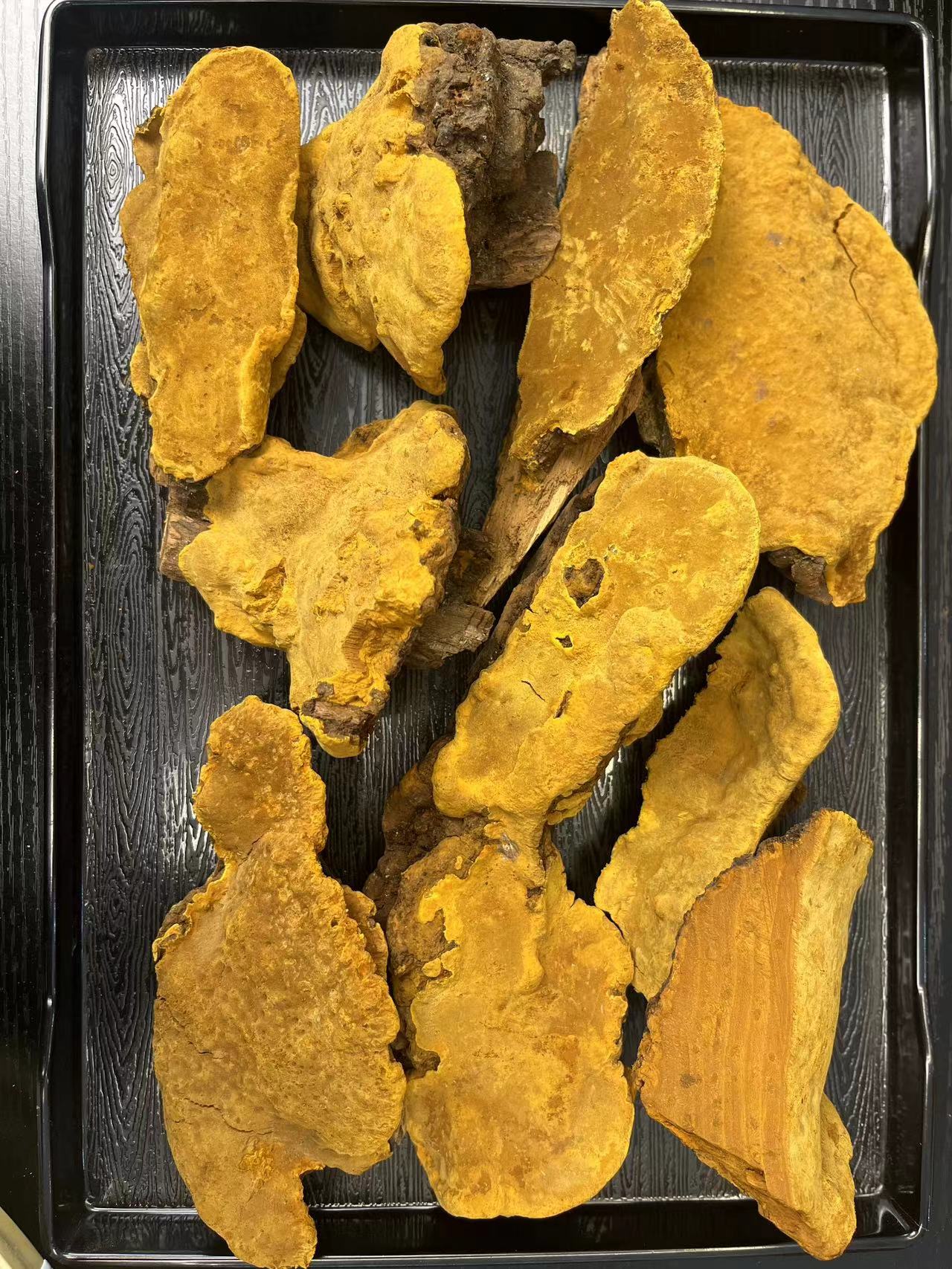 西藏桑树桑黄  瑕疵块参（中秋福利滋补好物）