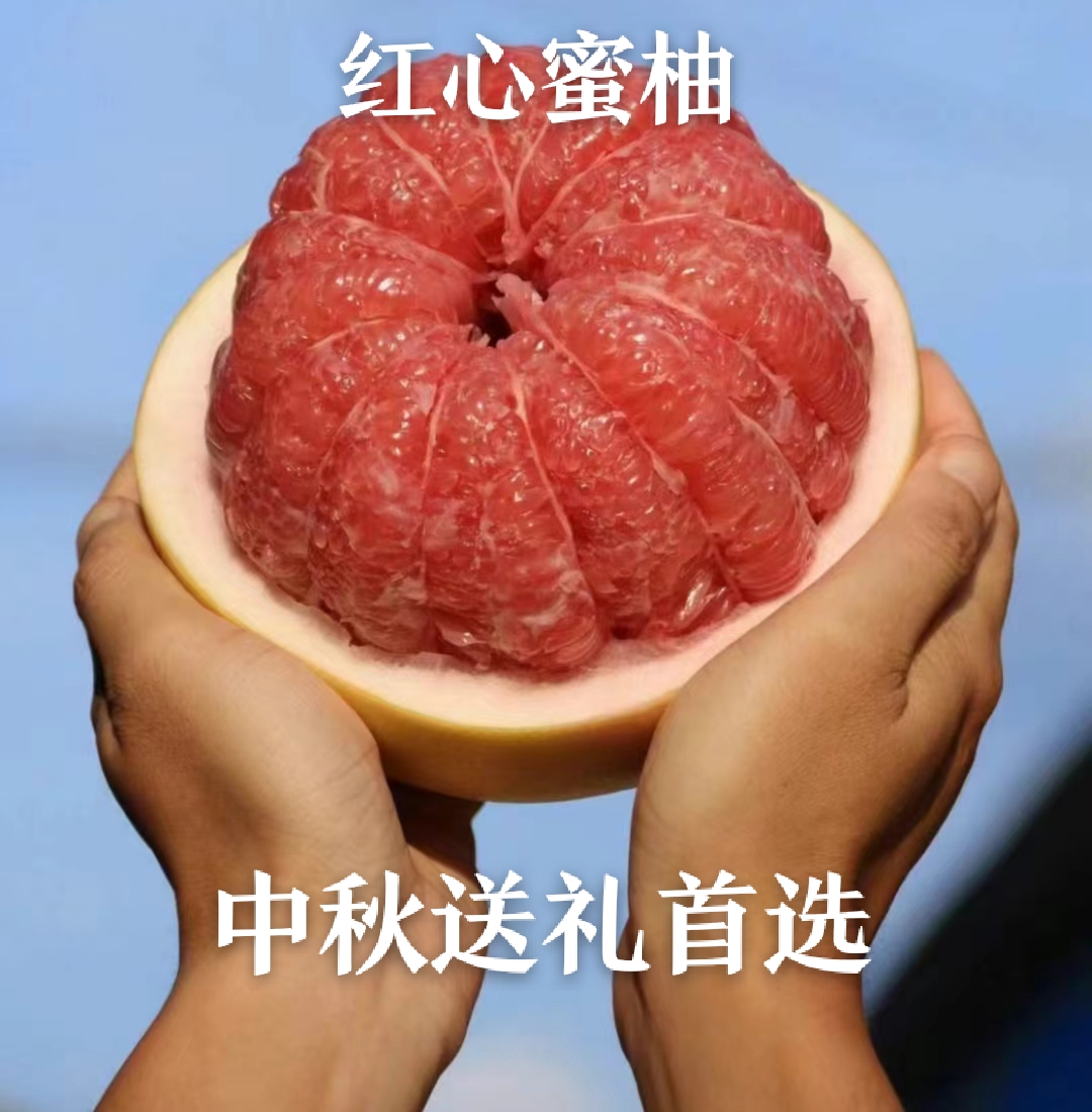 正宗平和红心柚子红心蜜柚红肉蜜柚三红柚新鲜包邮深海语言