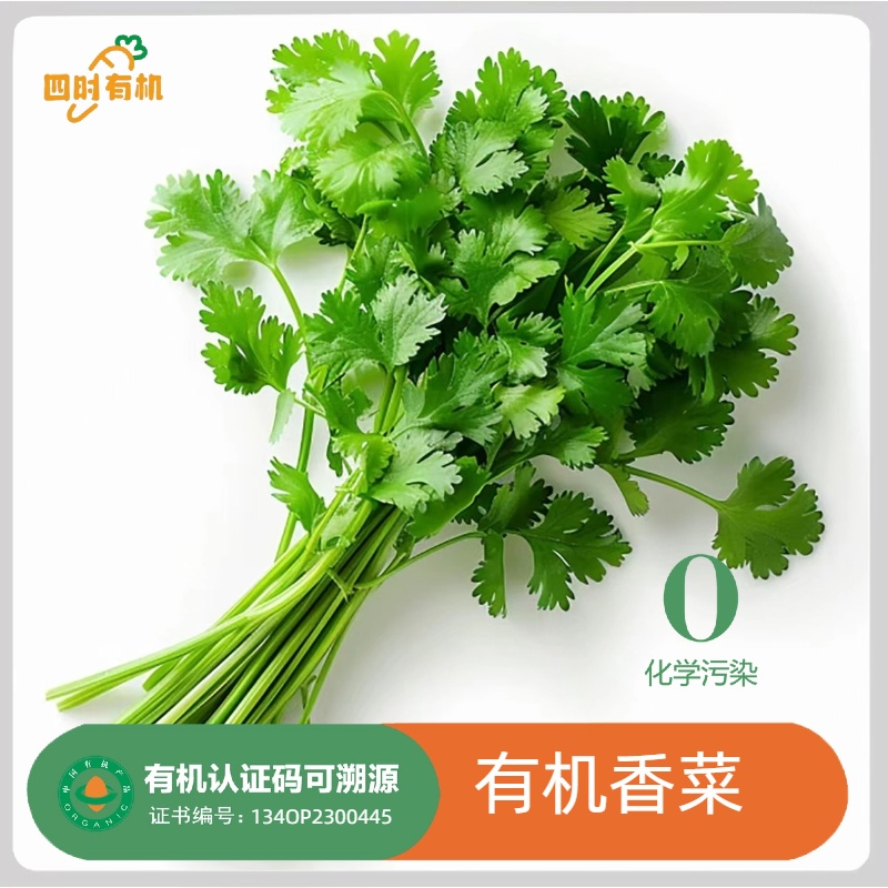 有机香菜3斤装，无农残现摘现发有机认证新鲜当季健康营养美味好吃
