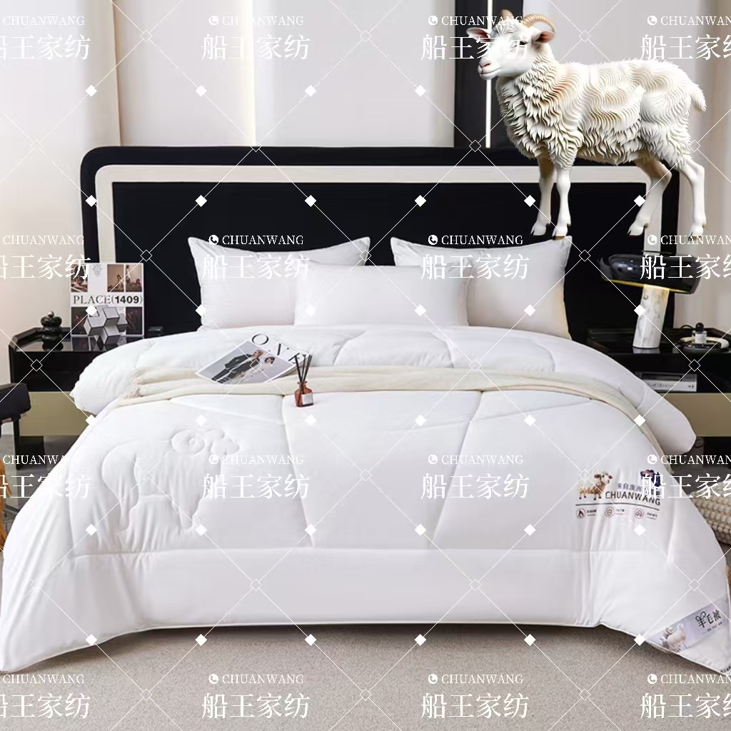 支持试睡/澳洲羊毛蛋白被绵羊毛秋冬保暖被亲肤羊绒蛋白被芯