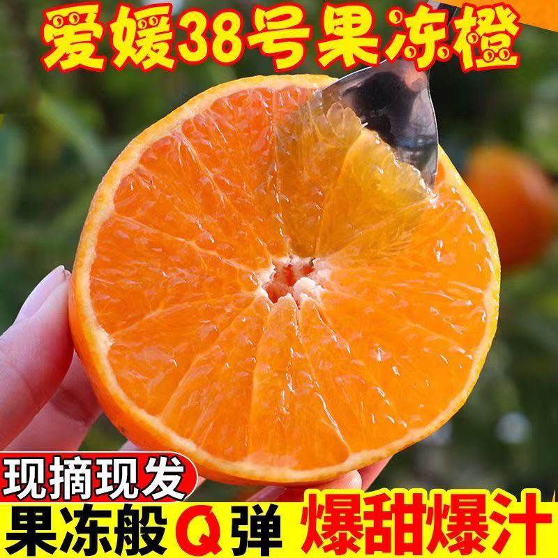 【寒冷地区专属】爱媛果冻橙新鲜水果原生态天然精选商超香甜好吃
