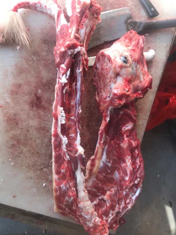 现场称重 现场分割 分割不退多肉羊蝎
