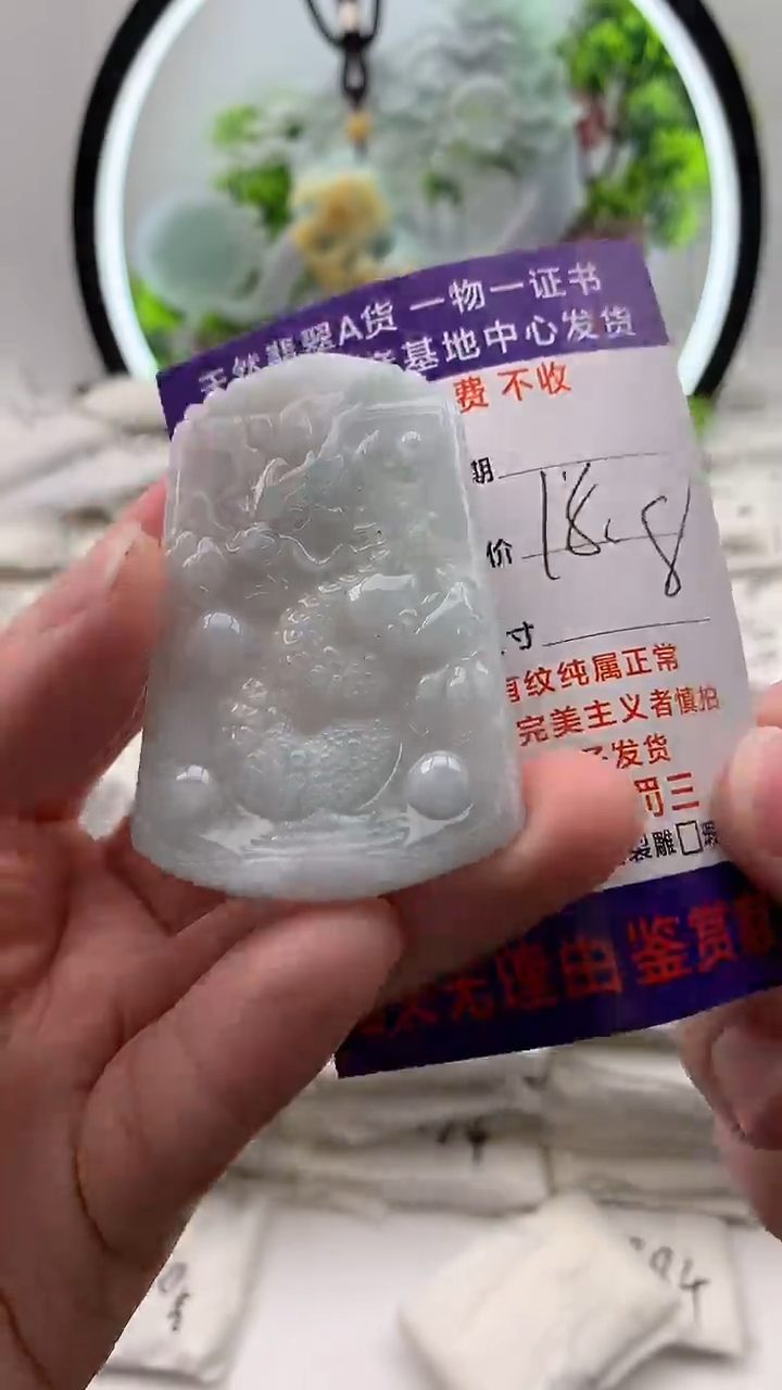 【闪购商品】翡翠颈饰未镶嵌龙牌【品质一般能接受再拍】