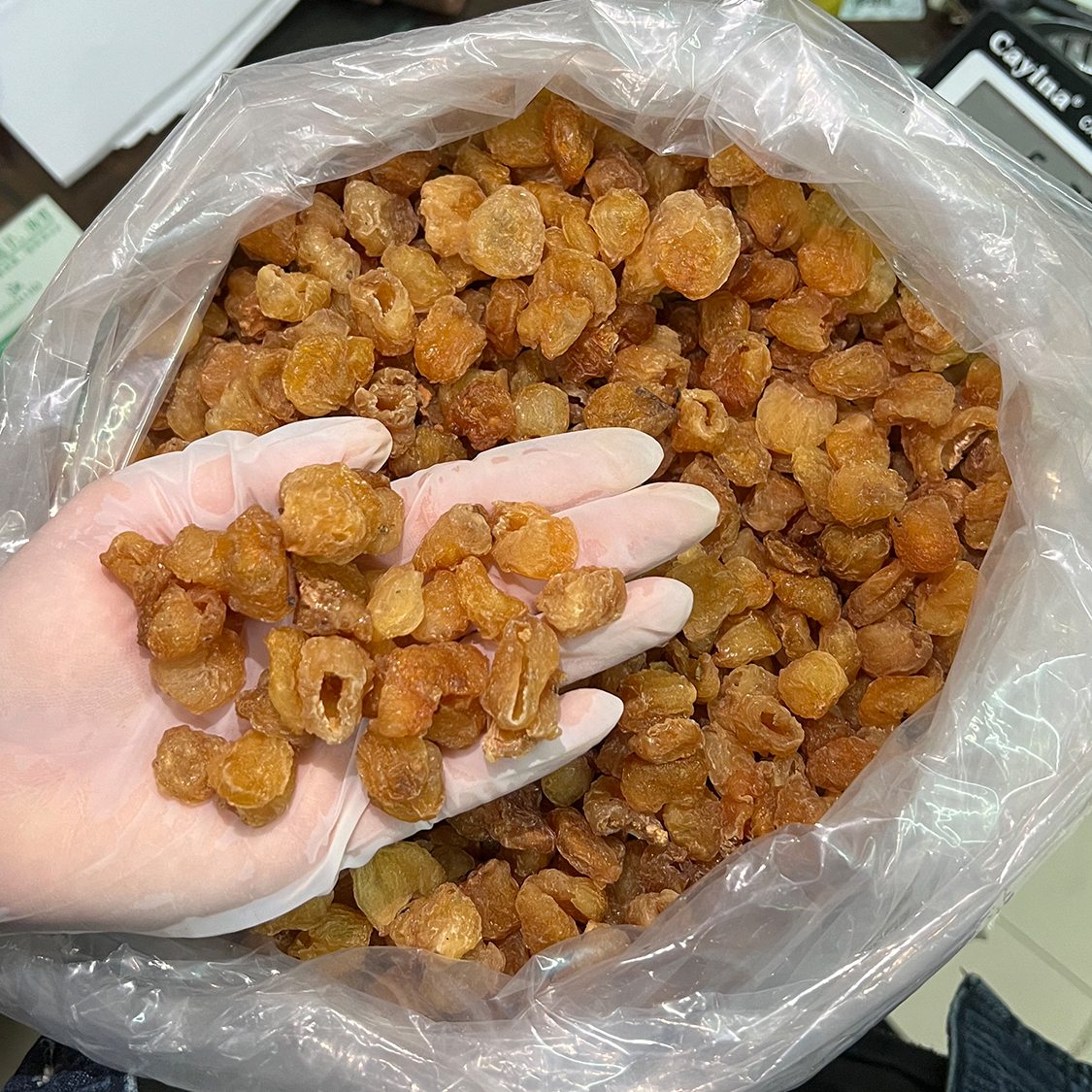 新货高州特产无核灯笼桂圆肉龙眼肉干货农家产无硫