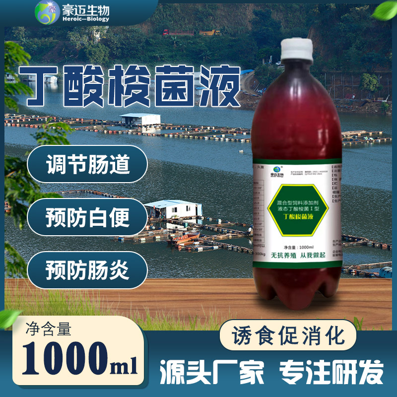 丁酸梭菌液调节肠道预防白便预防肠炎
