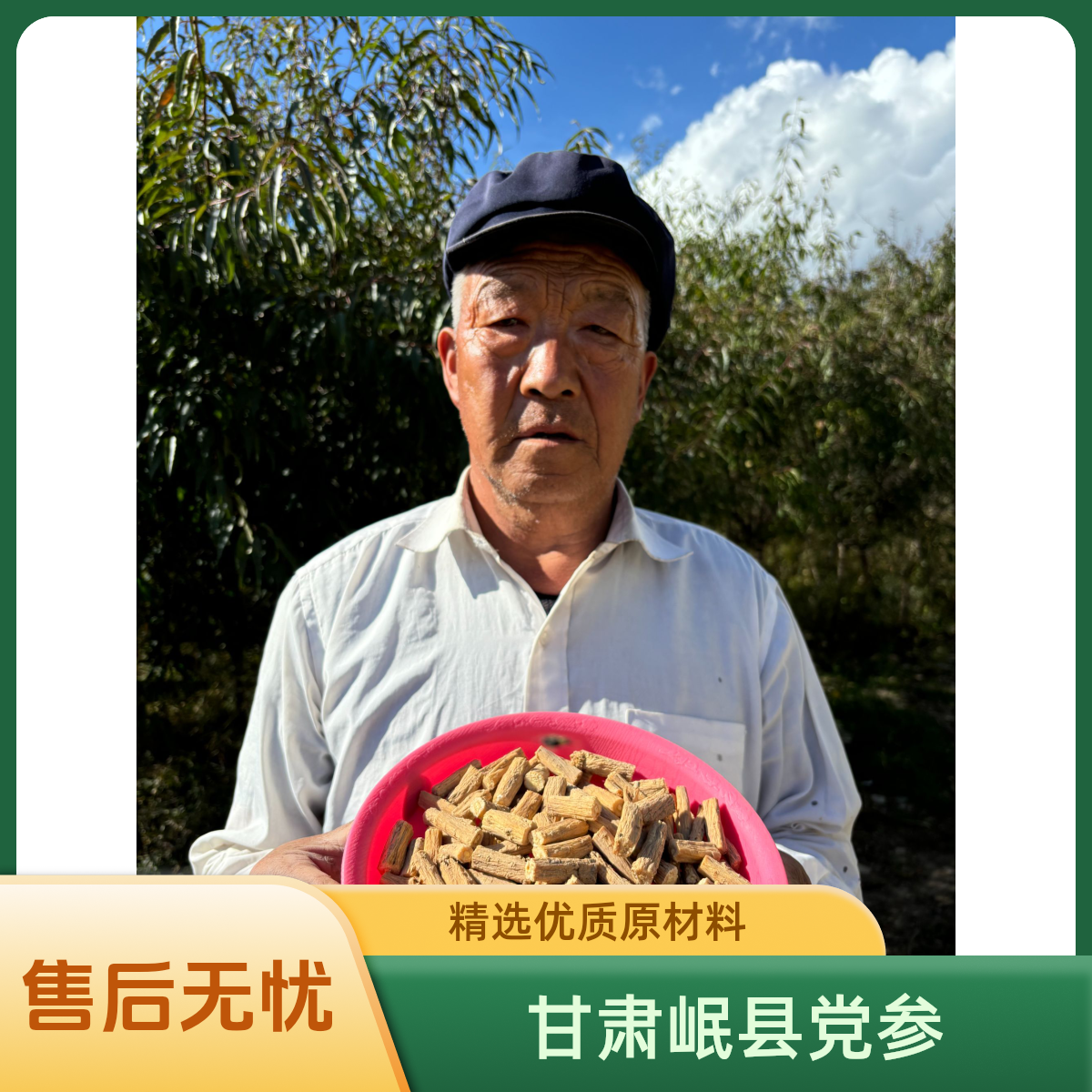 甘肃岷县党参切段