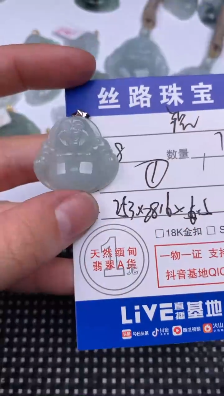 【闪购商品】翡翠颈饰未镶嵌挂件