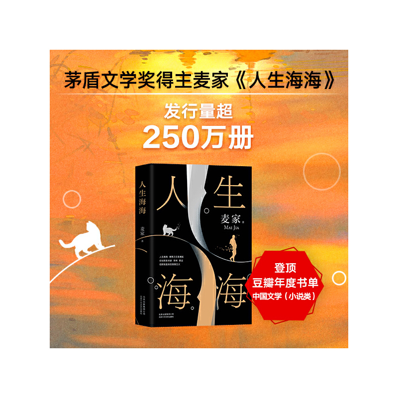 人生海海（麦家重磅力作，莫言、董卿盛赞，连续两年高居畅销榜）