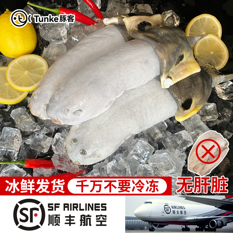 河豚鱼 杀后净重 现杀冰鲜发货  顺丰真空包装鲜嫩