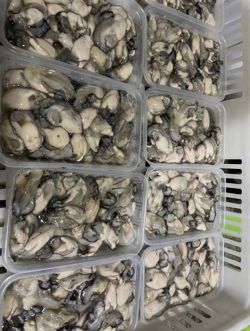 福建啊三海鲜 【新鲜海蛎】寄顺丰