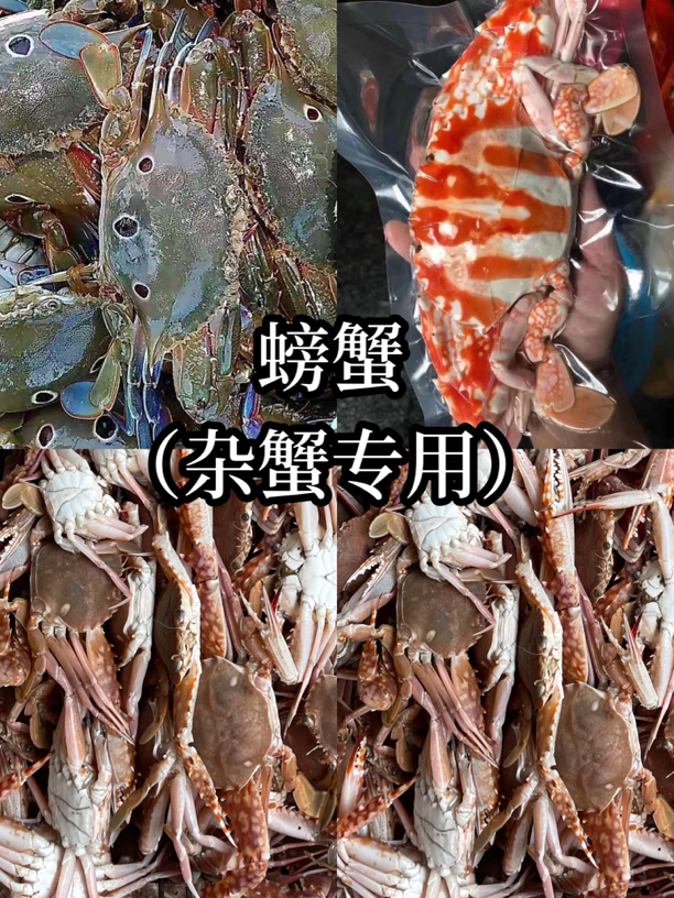 福建啊三海鲜 【野生螃蟹/杂蟹】新鲜寄顺丰