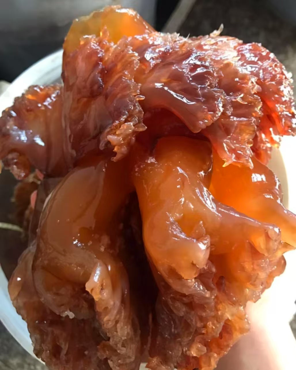 吕四野生精品特大三盐三钒海蜇头 凉拌菜嘎嘣脆清脆爽口