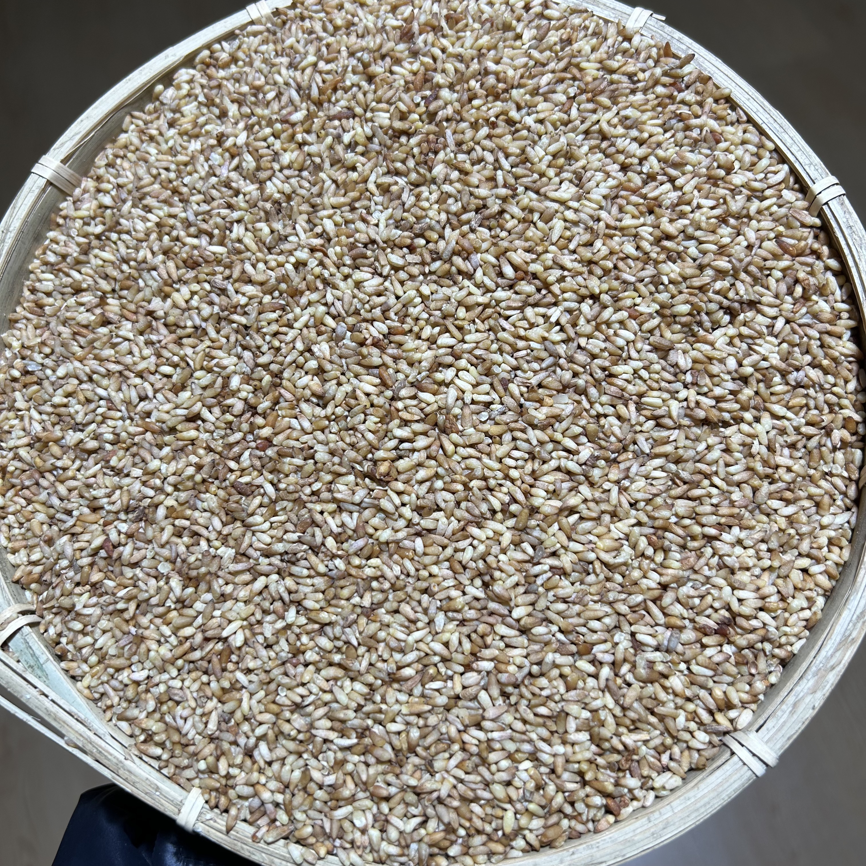 【柏子仁 】*   拍100g送100g 到手200g 可搭配酸枣仁 