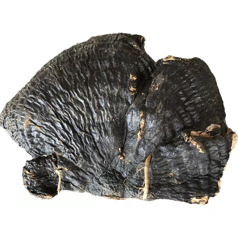 【小莫推荐】薄树灵芝500g