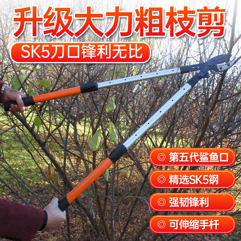 井田作齿轮伸缩大力粗枝剪刀果树高枝粗枝专用剪可伸缩剪枝