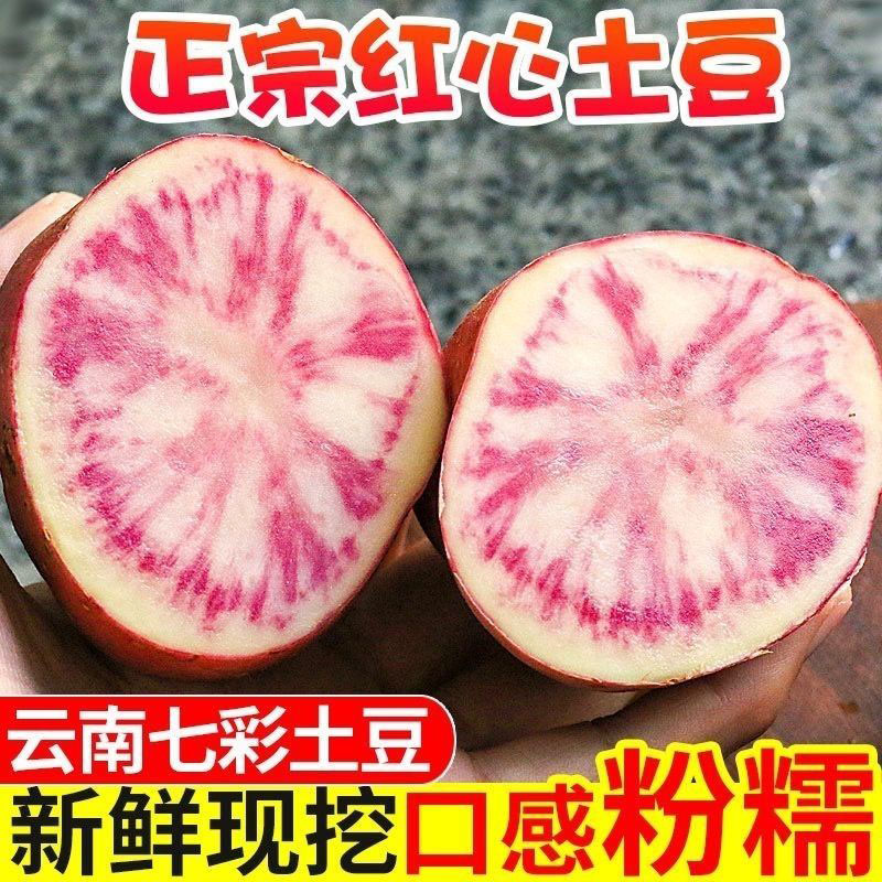 【丽江邮政助农】云南高原七彩土豆新鲜紫色花心红皮红心洋芋马铃薯