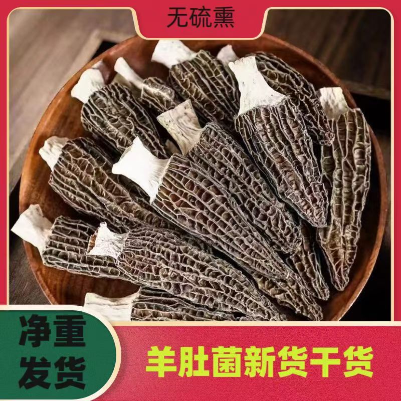 羊肚菌新货净重发货煲汤