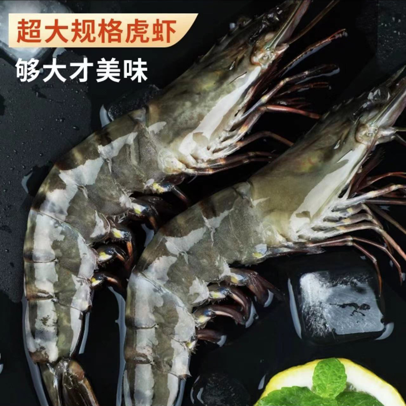 超大活冻黑虎虾 鲜冻老虎虾 16/20规格 3斤/盒*1盒 24-30只/盒