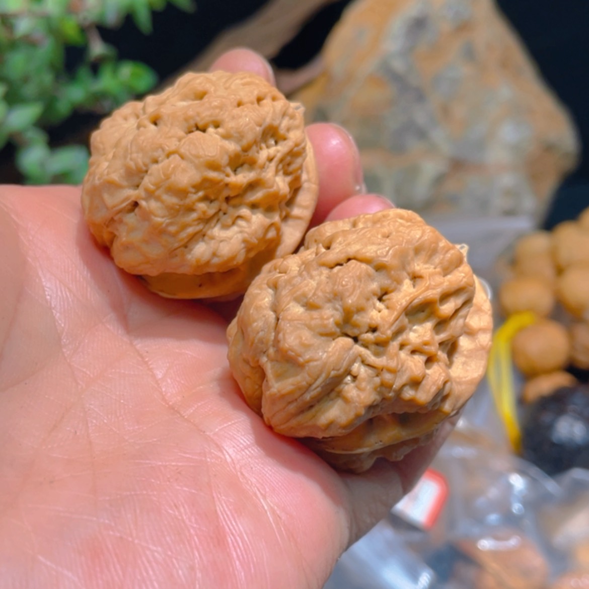 【闪购商品】文玩核桃把件516