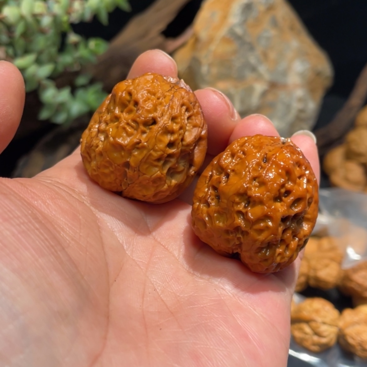 【闪购商品】文玩核桃把件8