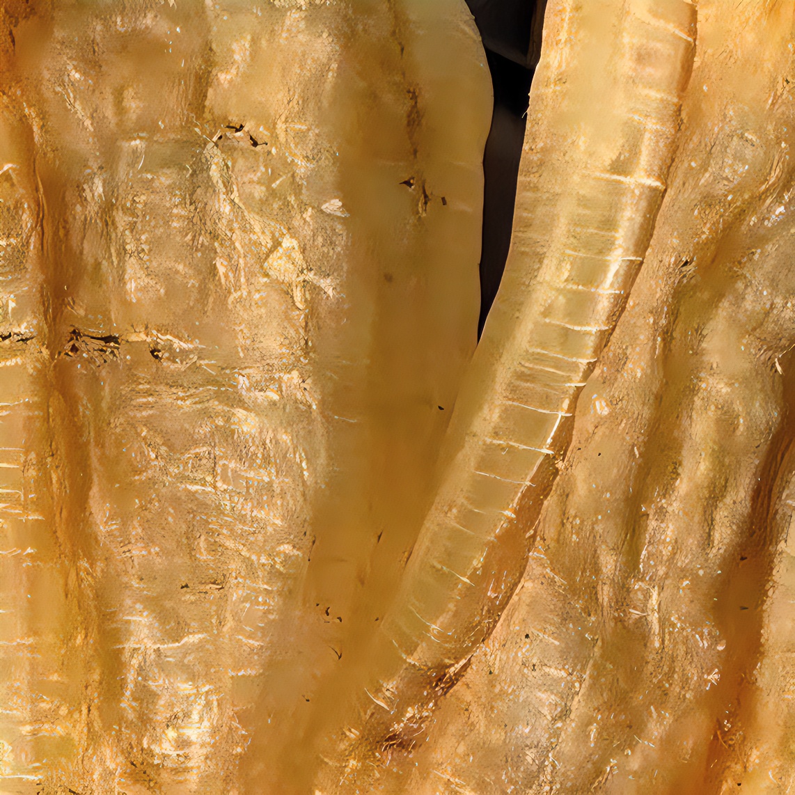 054广南澳深海厚肉双贝70多头100~500克