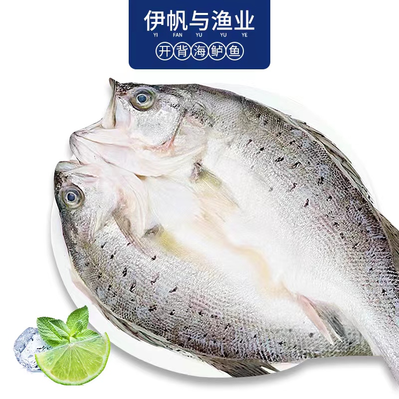 海鲈鱼*送1条