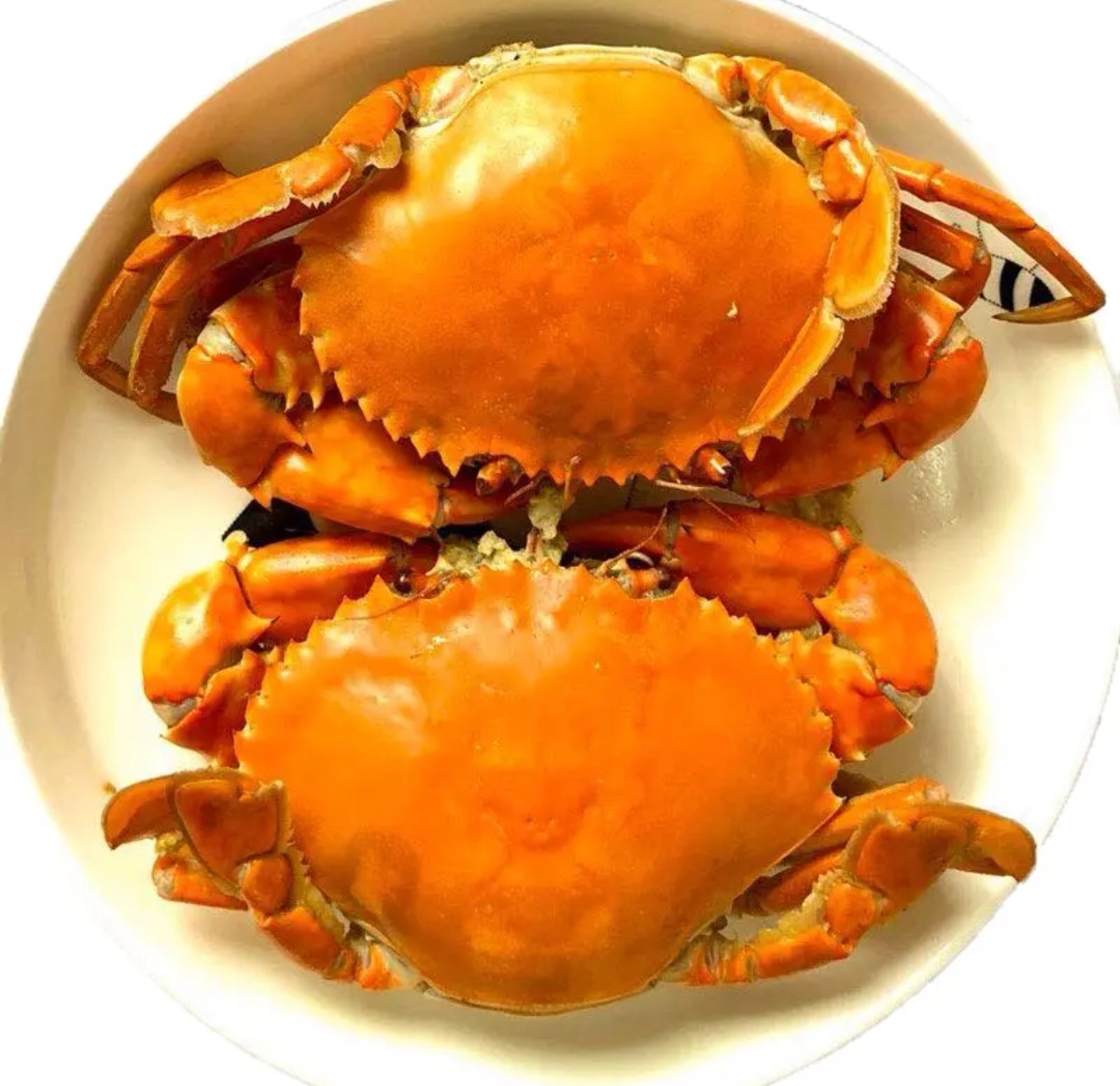 东山岛青蟹膏蟹红鲟净重4-5两/只包膏包黄鲜活水产