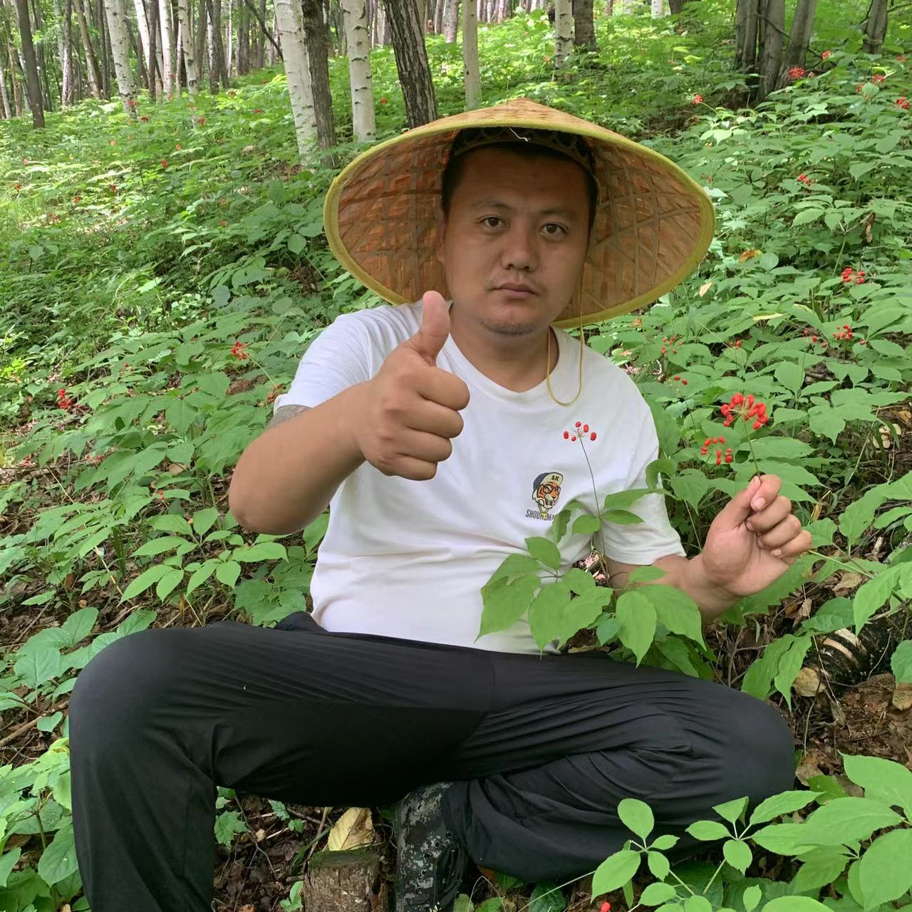 长白山林下棒槌新鲜其他根茎类凯弟推荐