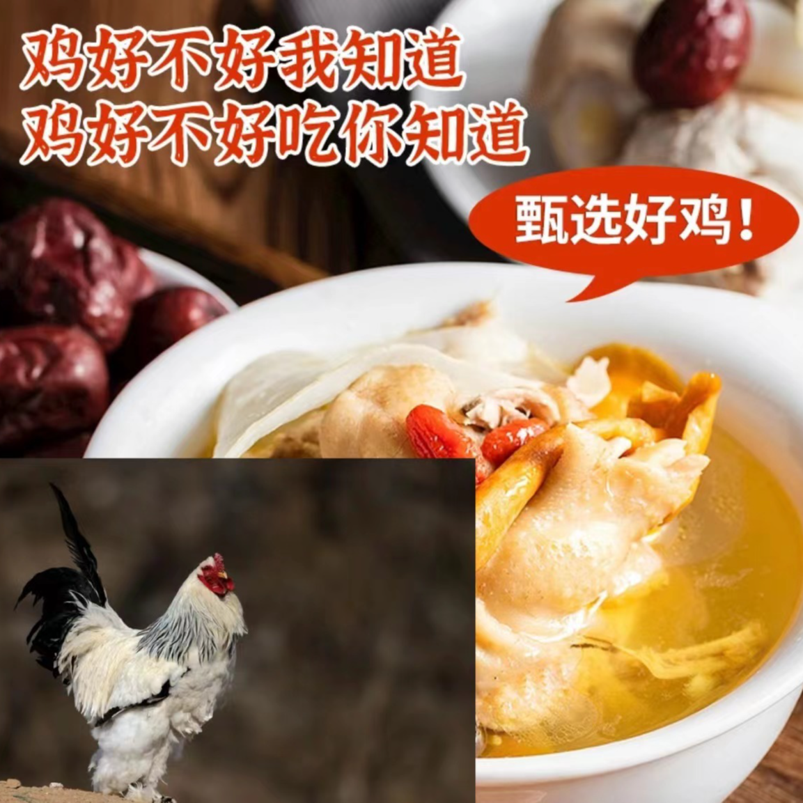 婆罗门肉质鲜美可口