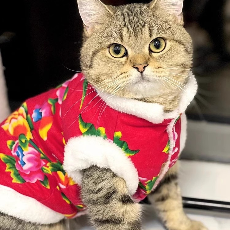 猫咪保暖衣服东北大花新年喜庆棉衣冬天小猫过年宠物狗狗拜年唐装