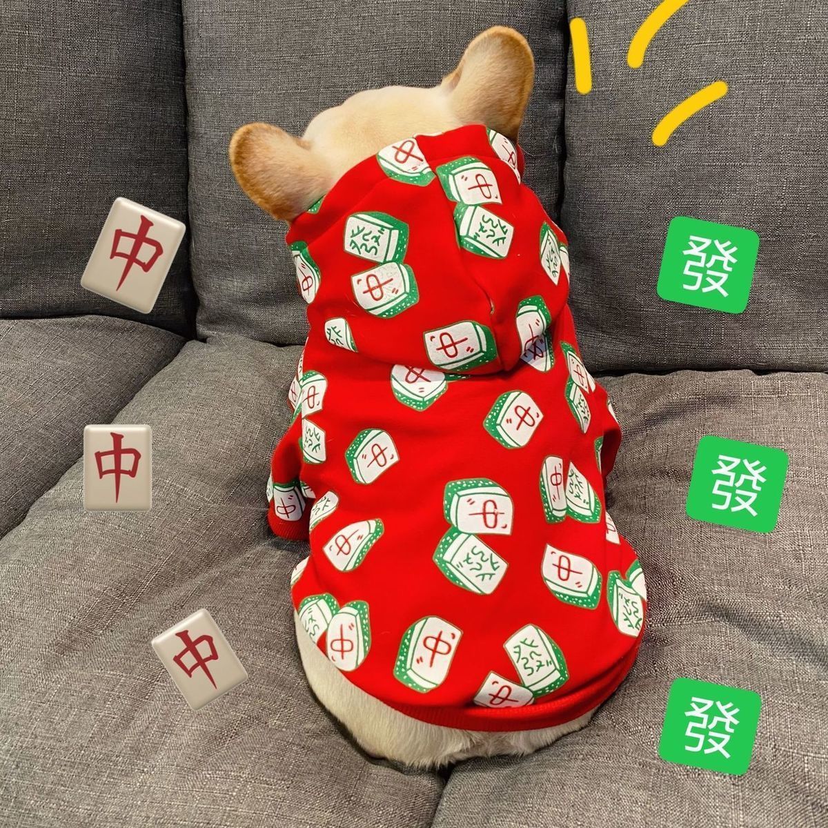 秋冬季网红中小型犬麻将卫衣过新年喜庆泰迪法斗狗狗宠物衣服简约