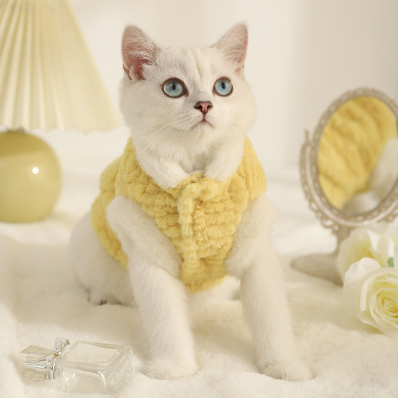 宠物猫咪可爱加绒保暖防掉毛秋冬季银渐层布偶猫幼猫两脚棉衣简约