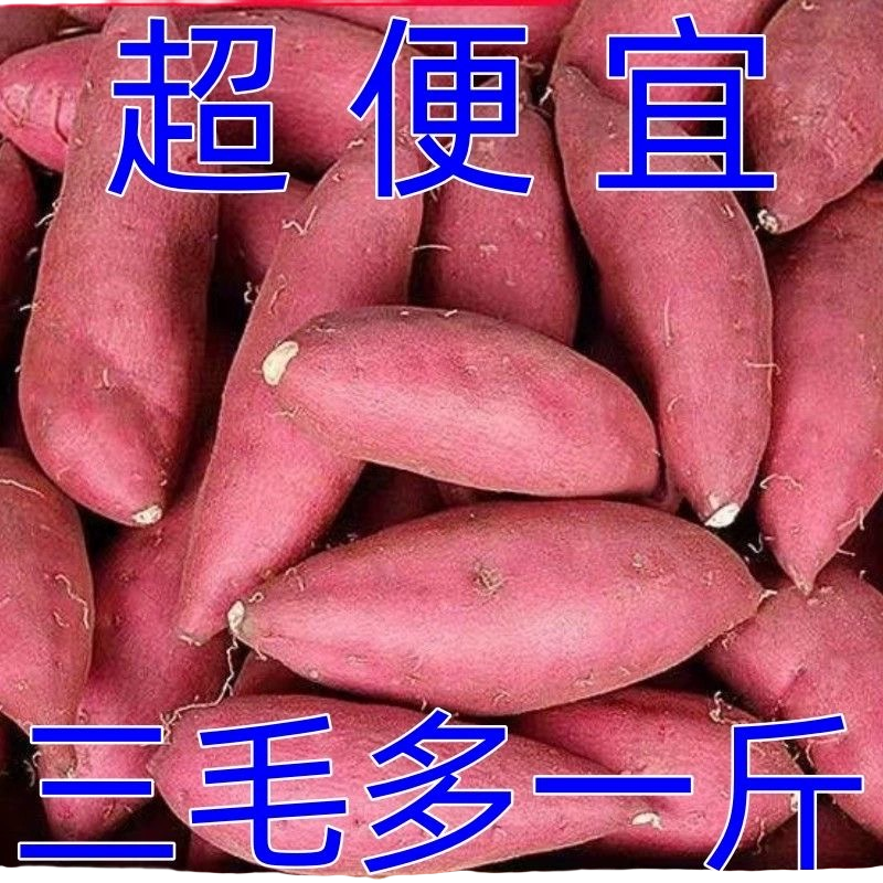 【1元抢购中】超甜1-9斤沙地蜜薯红薯蜜薯番薯板栗薯烟薯西瓜红地瓜