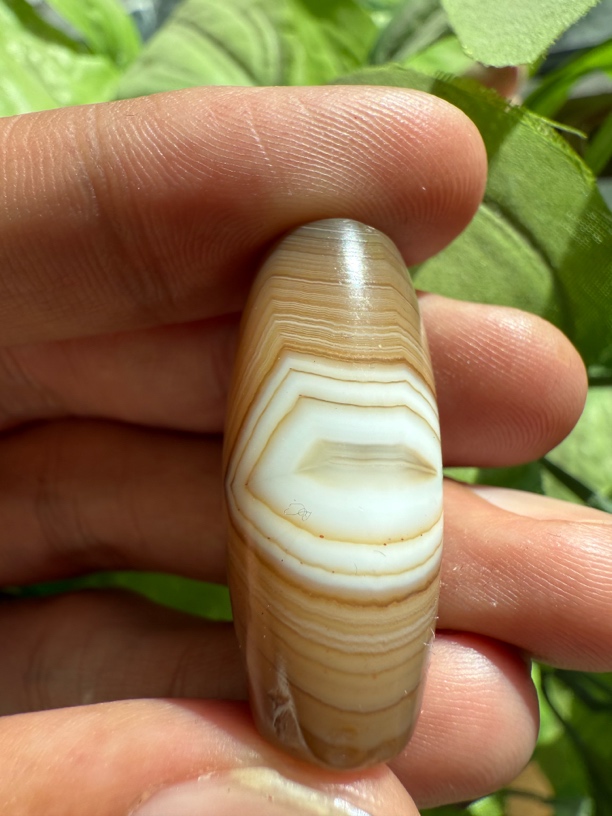 藏系到代带眼缠丝珠