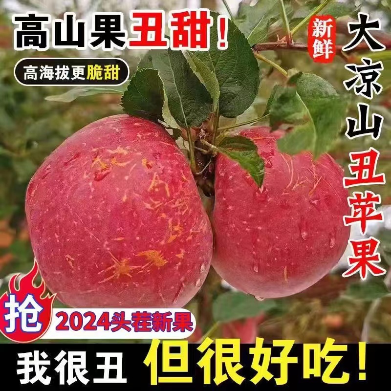 5新鲜水果丑苹果现摘当季红富士我很丑但很好吃的甜5