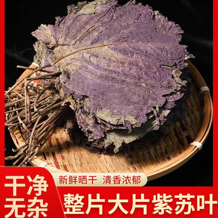 紫苏叶苏叶干苏叶优质紫苏叶无硫无磺无熏