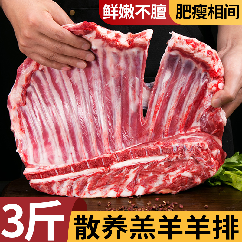 草原散养乳羔羊羊排3斤烧烤炖煮食材半成品手把羊肉1