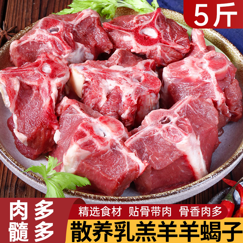 草原散养乳羔羊羊蝎子5斤清炖红烧煲汤火锅食材1