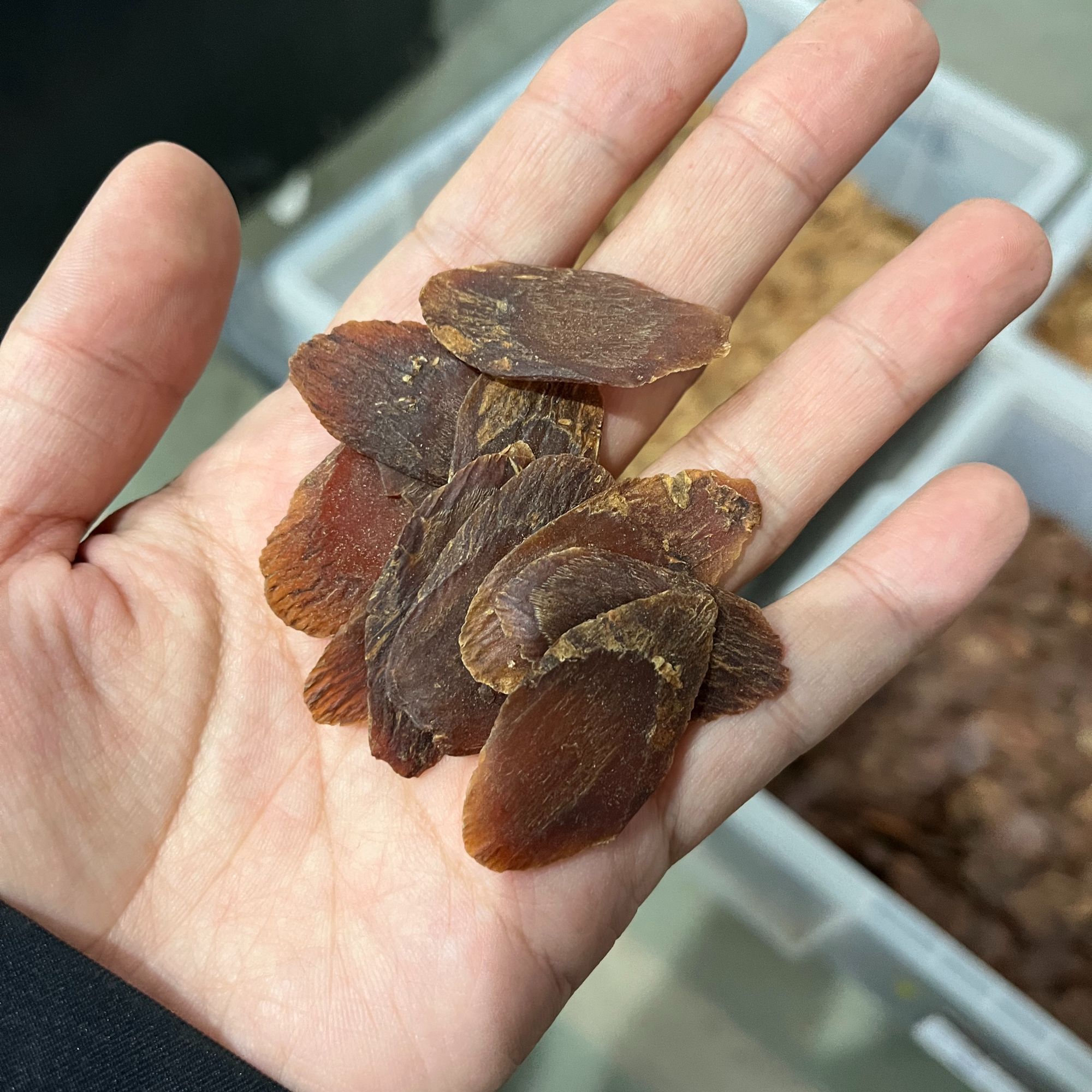 长白山 老红参 2.0大片 无糖  煮水泡水含服煲汤