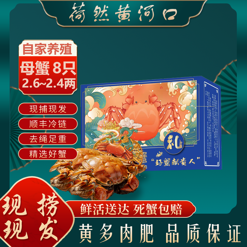 【鲜活母蟹】精选黄河口大闸蟹2.6-2.4两母蟹8只 顺丰礼盒包装