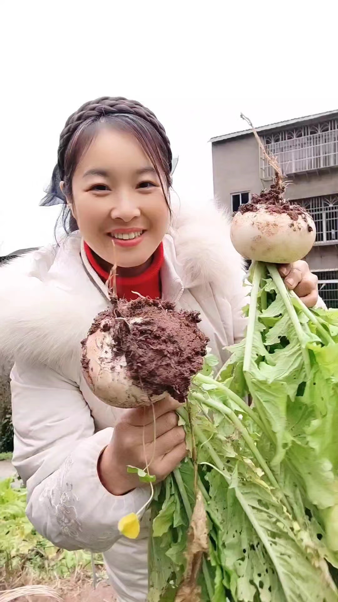 农民自家种植白萝卜各种应季蔬菜绿色蔬菜叶菜根茎类蔬菜