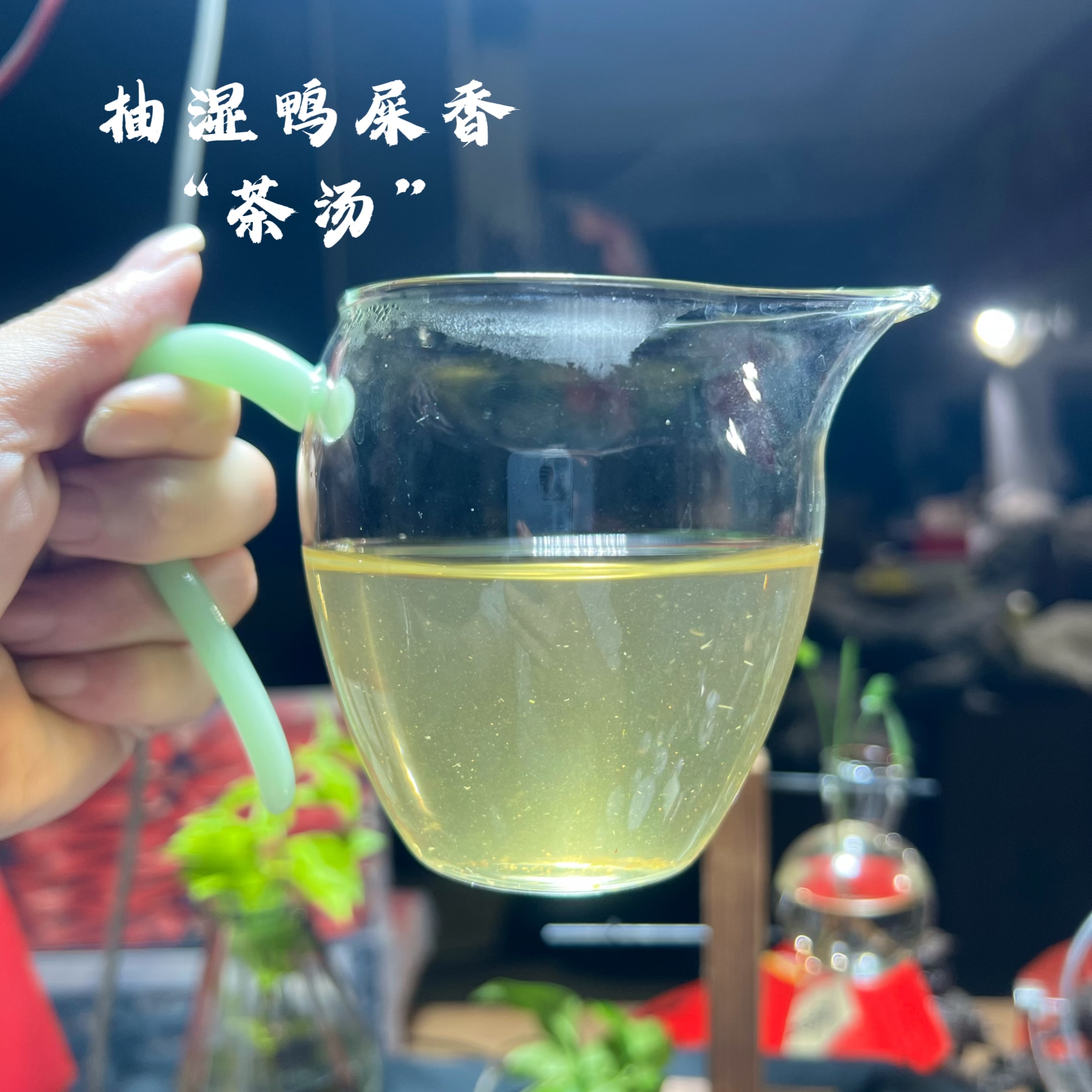1【抽湿鸭屎香】鲜爽花香高香凤凰单丛茶  尝鲜款 柠檬奶茶潮州乌龙