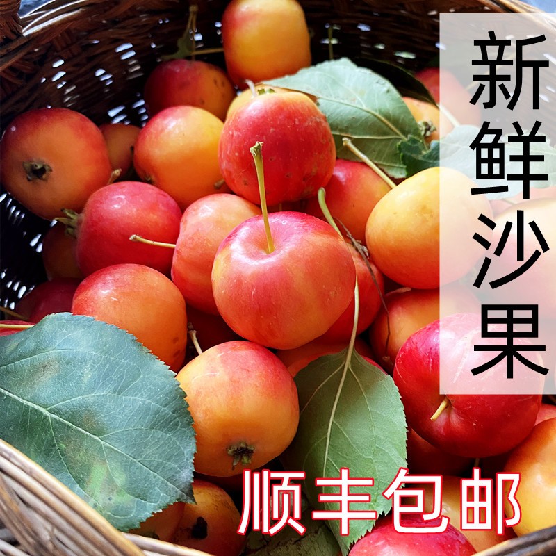 新鲜沙果内蒙海棠果小苹果糖渍沙果酸甜沙果干蜜饯零食孕妇水果