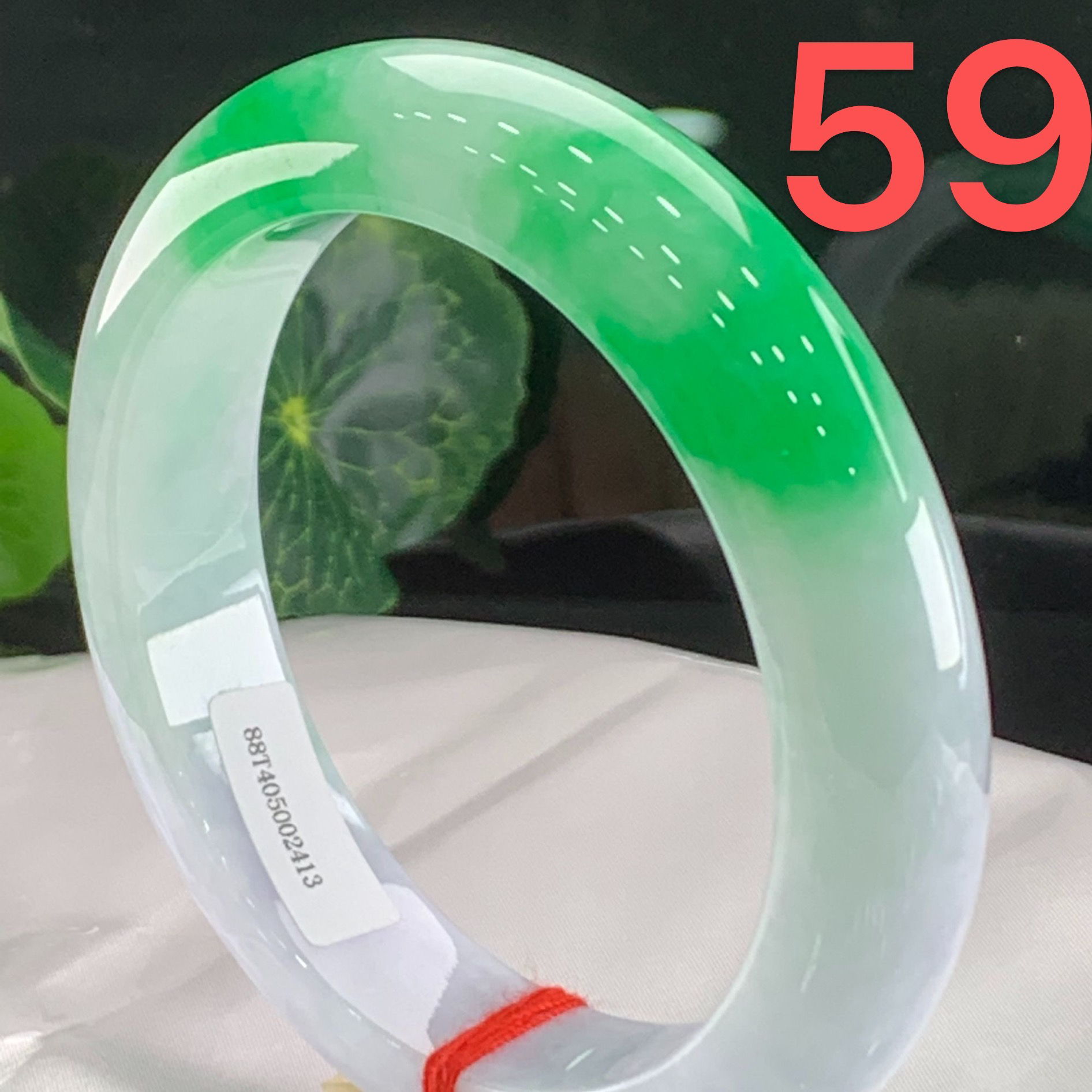 天然缅甸翡翠A货 白底青飘正阳绿 正圈