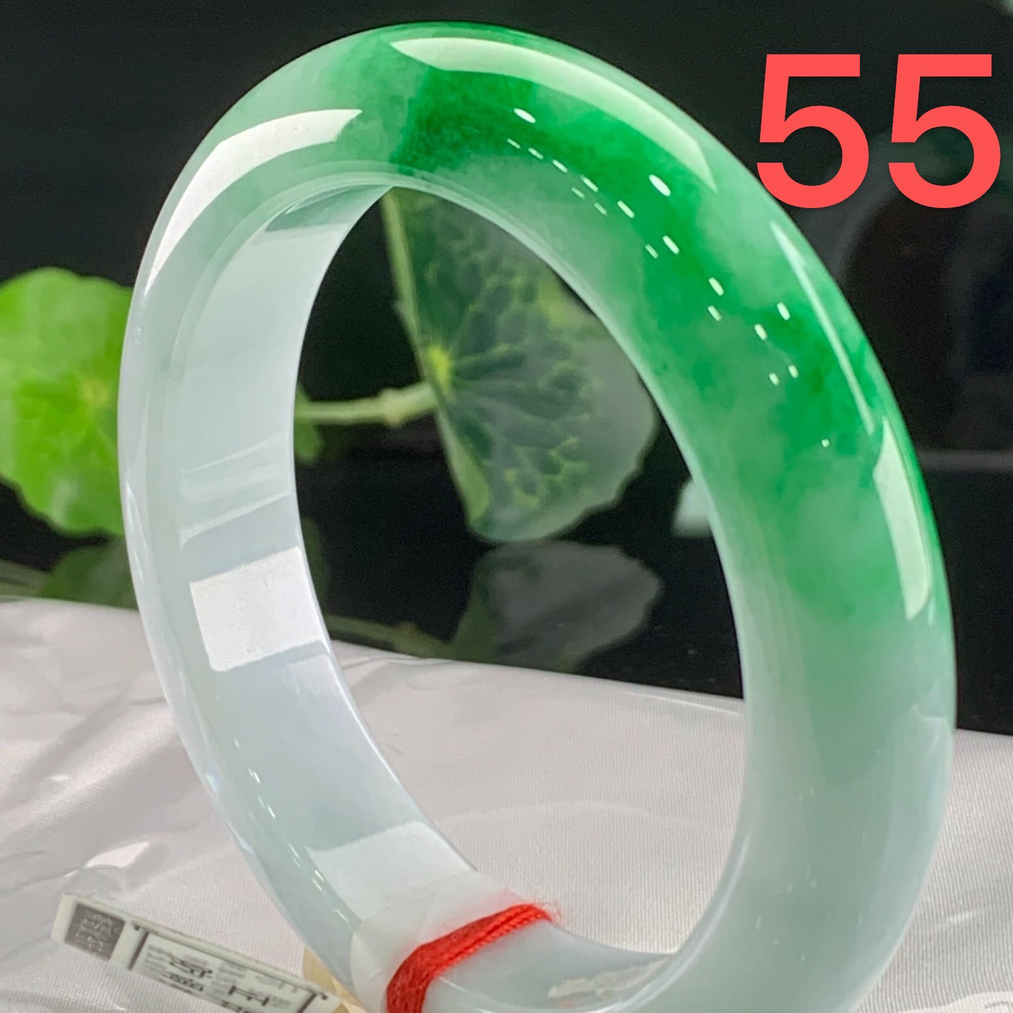 天然缅甸翡翠A货 白底带正阳绿辣色 正圈