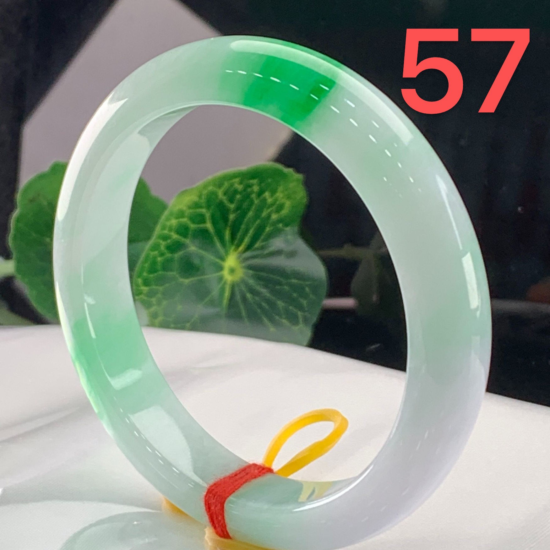 天然缅甸翡翠A货 白底青带正阳绿 正圈