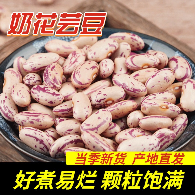 25年新芸豆东北特产花芸豆花腰豆四季豆新鲜饭豆奶花芸豆煮大碴粥