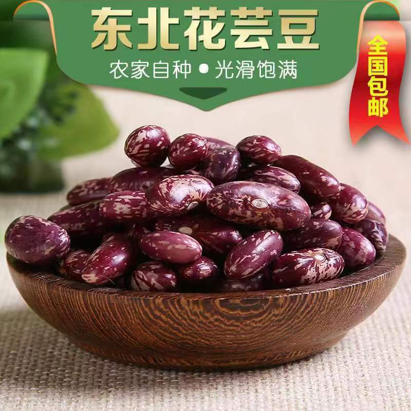 新豆新鲜芸豆大红豆2斤黑龙江农家自产东北大饭豆花芸豆四季豆5斤