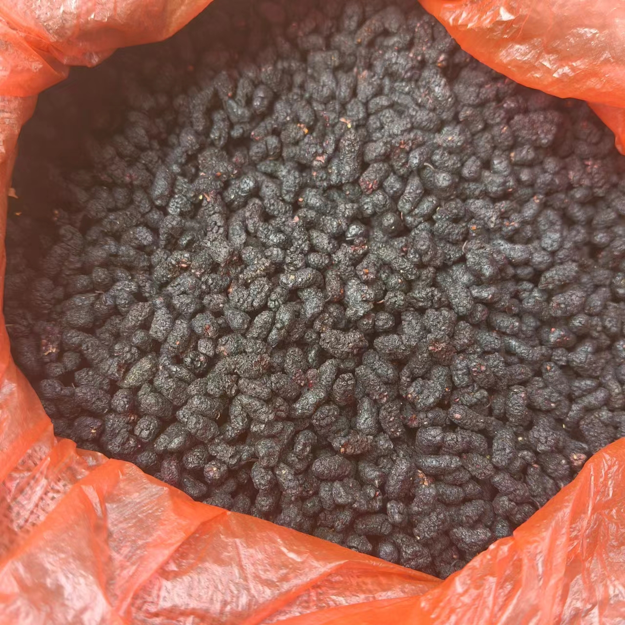 桑谌干【净含量500g】