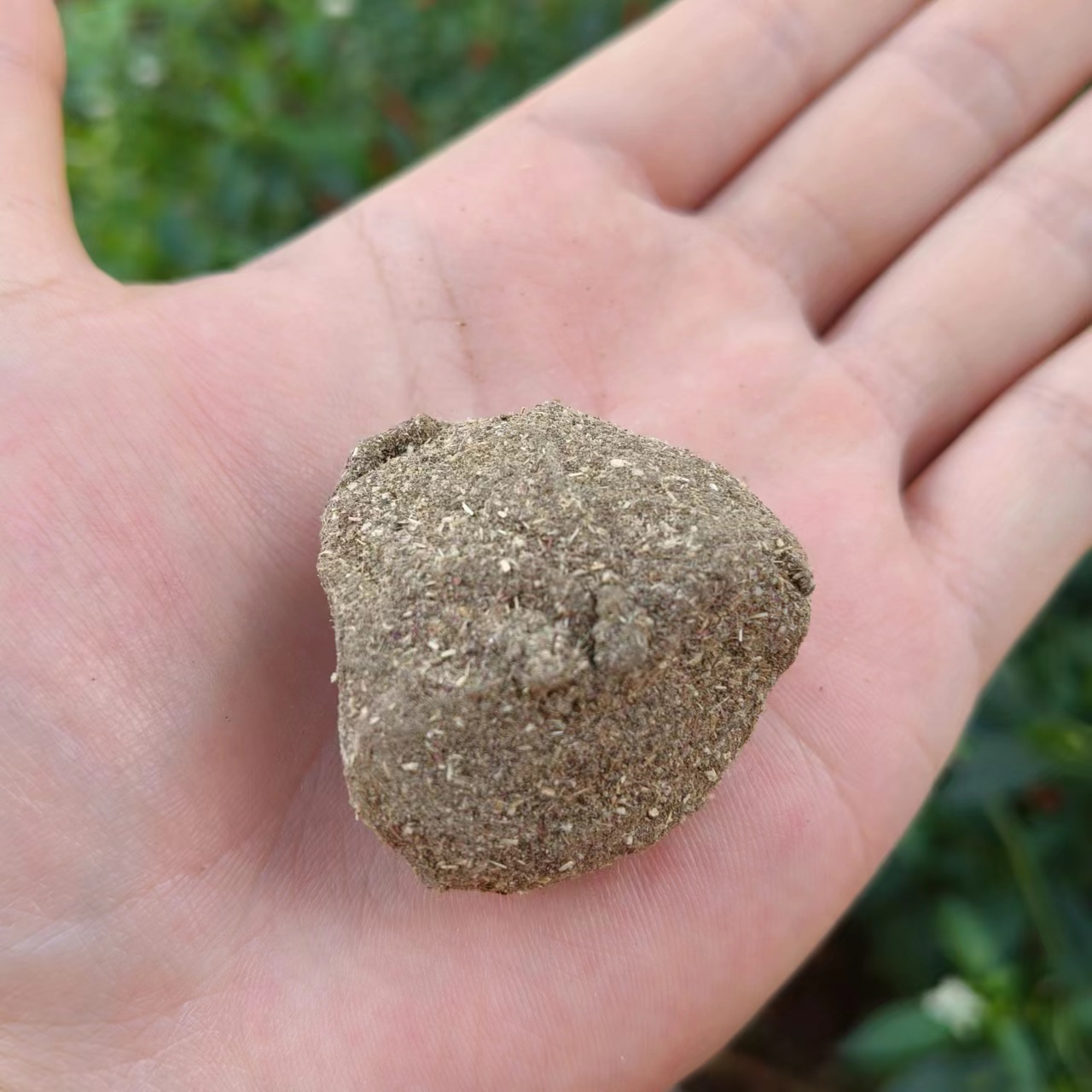 干草菩提果-【净含量】500g